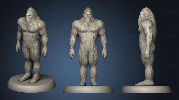 3D model Big foot (STL)